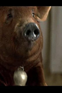 Мизери (Misery the Pig)